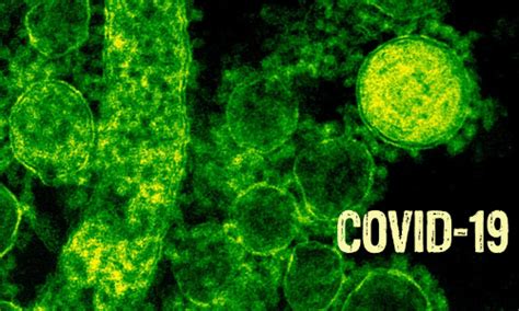 Nupur Thapliyal, Principal Correspondent, New Delhi, Live Law Page 315