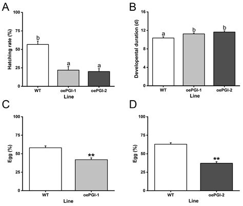 A Cytosolic Phosphoglucose Isomerase, OsPGI1c, Enhances Plant Growth ...