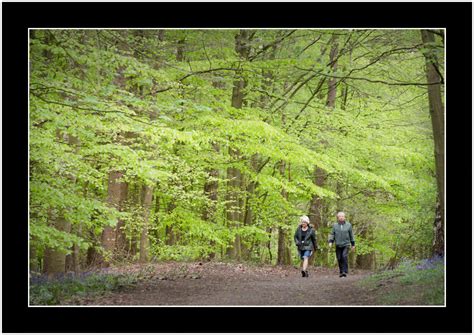 Walk-In Nature 的图像结果