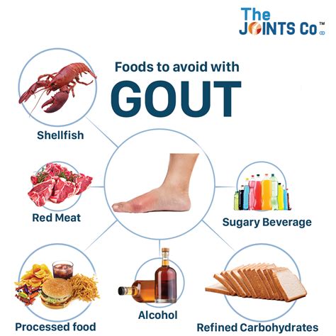 The Joints Co Gout Ease Plus for Uric Acid Issues – Nutrisage India
