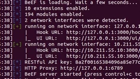 Beef Tutorial 的图像结果