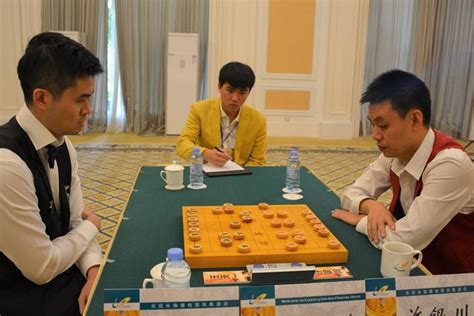 【象棋资讯】许银川：人的“棋感”电脑是学不来的-搜狐体育