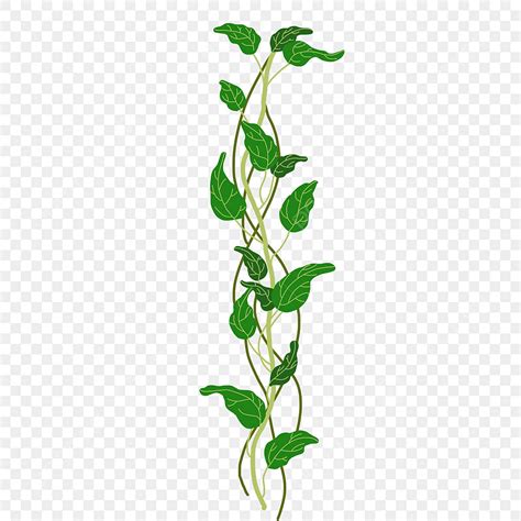 Vine Clip Art