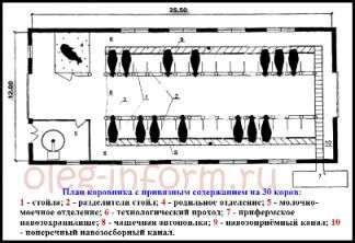 Ферма для крс на 20 голов проект – Строительство фермы для КРС своими ...