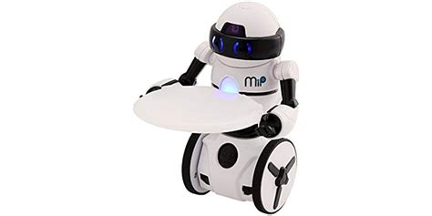 MIP Robot 的图像结果