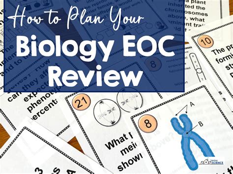 How to Plan Your Biology EOC Review - Suburban Science