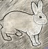 Image result for Baby Rabbit Drawing