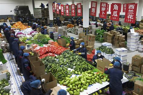 吉林：蔬菜“打包”记_图片新闻_中国政府网