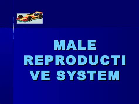 Image result for Reproductive System Grade 10