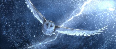 Harry Potter Owl Wallpapers - Wallpaper Cave