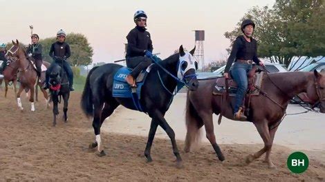 Shisospicy on Standby, Bentornato on Track for Dubai - BloodHorse