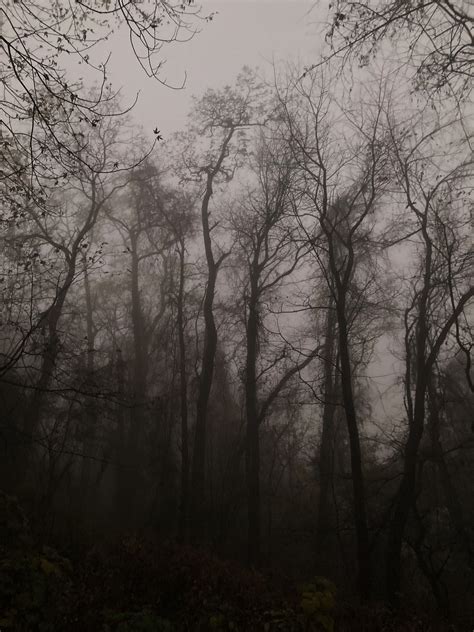 Autumn | spanishwoods