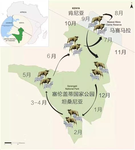 合肥到中东非洲旅游线路报价_安徽中青旅旅游线路网站-5A级合肥旅行社资讯