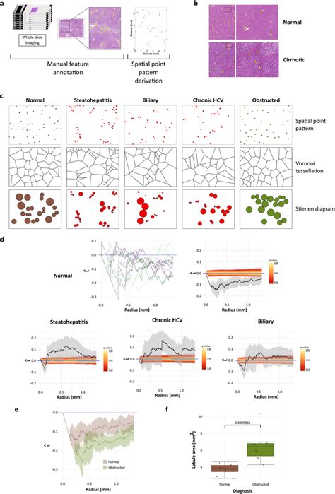 Image result for Spatial Point Pattern