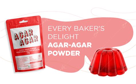 BAKE KING Vegetarian Agar Agar Powder 10grm, Plant Based Gelatine ...