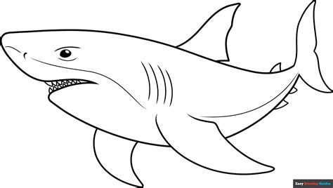How to Draw a Shark Outline - Really Easy Drawing Tutorial