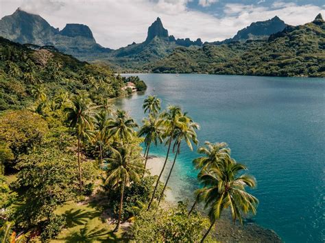 10 best things to do in moorea french polynesia – Artofit