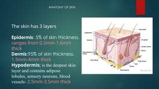 Image result for Cm Para Polegadas