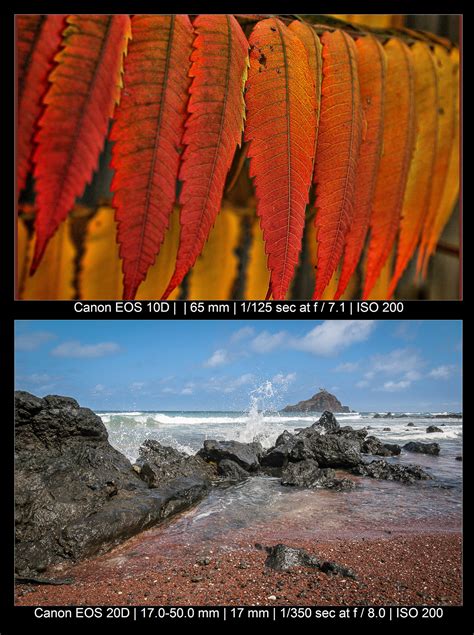 Image result for Camera Program Mode