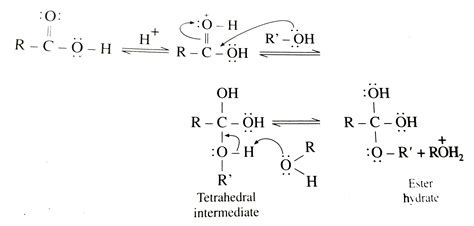 Esterification Reactions Youtube - mechanism of esterification of carboxylic acid