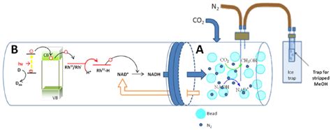 A Review on the Design and Performance of Enzyme-Aided Catalysis of ...