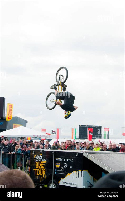 Image result for Loop Jump Scrae Video