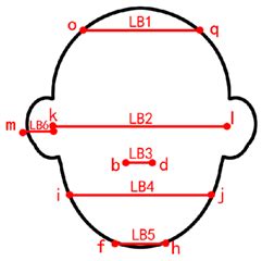 A Study of Facial Features of American and Japanese Cartoon Characters