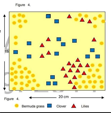 Image result for Types of Distribution Patterns