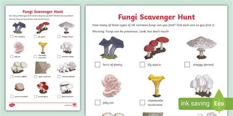 What to Plant in September - Twinkl