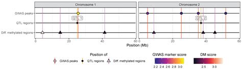 Visual Integration of Genome-Wide Association Studies and Differential ...