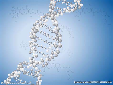 DNA图片-DNA双螺旋分子素材-高清图片-摄影照片-寻图免费打包下载