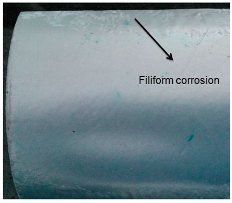 Ultrasonic Sensors-Assisted Corrosion Studies on Surface Coated ...