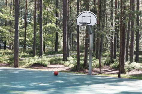 Sportsfield within Forest 的图像结果