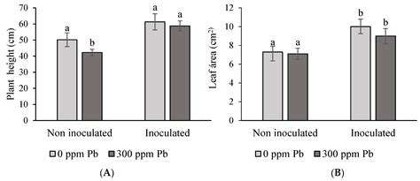 Production of a Microbial Biofilm and Its Application on Tomato Seeds ...