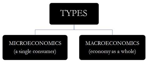 Economy and Economics