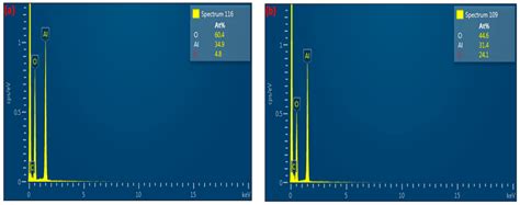 High-Resolution SEM and EDX Characterization of Deposits Formed by CH4 ...