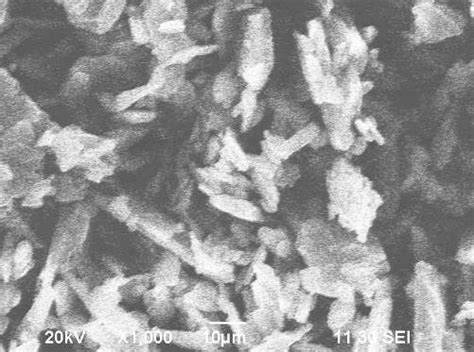 Scanning electron microscopy