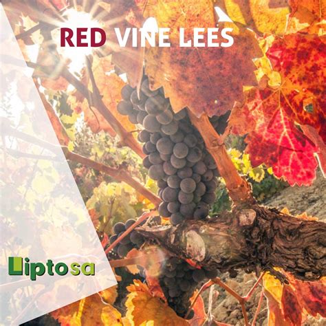 #polyphenols #resveratrol #digestibility #immune_responses #oxidative ...