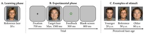 Is Face Age Mapped Asymmetrically onto Space? Insights from a SNARC ...