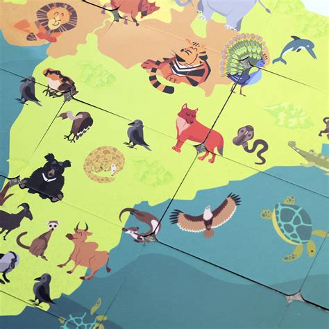 Indian Wild Safari Action Card Game – Happy Wagon