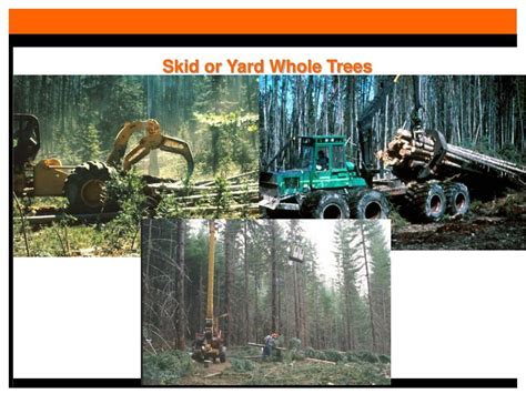 Logging 的图像结果