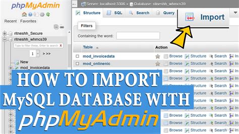 How to Import MySQL database with phpMyAdmin? [STEP BY STEP]☑️ | Red ...