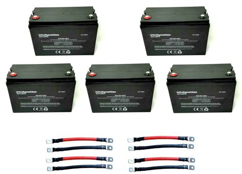 5pcs WindyNation 100 amp-Hour 100AH 12V 12 Volt AGM Deep Cycle Sealed ...