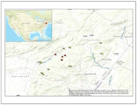 Occurrence, Seasonal Abundance, and Superparasitism of Ooencyrtus ...