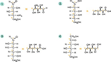 Fischer Projections — Organic Chemistry Tutor