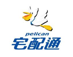 For Command Python 的图像结果