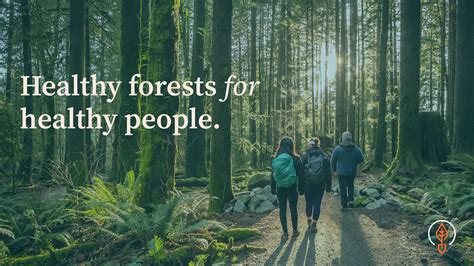 Happy International Day of Forests! - Project Forest