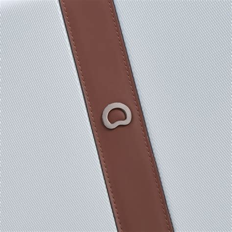 Delsey Promenade (Silver) – Bagpoint