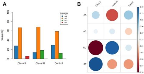 Genetic Insights into Skeletal Malocclusion: The Role of the FBN3 ...