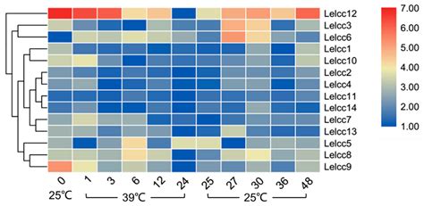 Expression Profile of Laccase Gene Family in White-Rot Basidiomycete ...